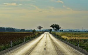 海滨落日的啤酒香
